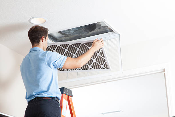 Best Central Air Repair  in Laingsburg, MI